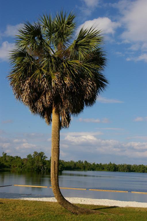 פוינסיאנה Cypress Cove Nudist Resort מראה חיצוני תמונה
